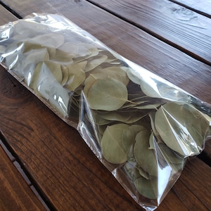 May include: A clear plastic bag filled with dried eucalyptus leaves. The leaves are a light green color and are arranged in a random pattern.