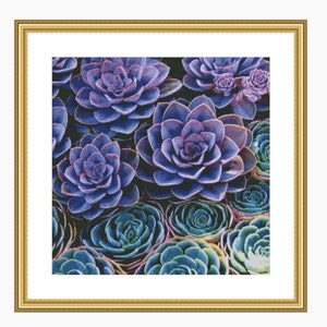 Cross stitch pattern, Modern cross stitch, SUCCULENTS cross stitch chart, Instant download PDF