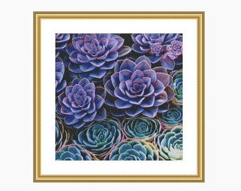 Cross stitch pattern, Modern cross stitch, SUCCULENTS cross stitch chart, Instant download PDF