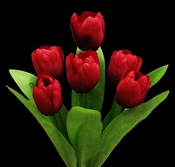 Arbusto de tulipán rojo de 14 6 tulipanes rojos por - Etsy España