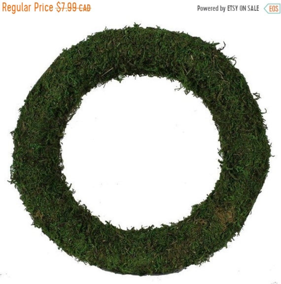 On Sale 12 Moss Wreath Wire Covered in Moss Wreath Etsy