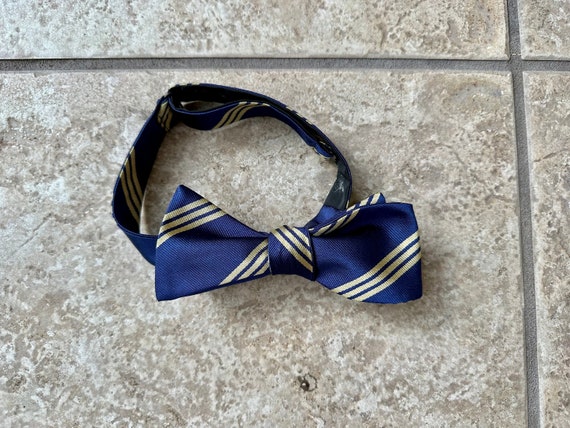 Vintage Blue & Silver Regimental Striped Silk Rep… - image 1