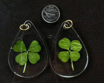 Real Four Leaf Clover Resin Pendant - LARGE - Handpicked - gift, graduation/anniversary, St, Patrick's Day, mother's/father's day