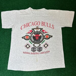 May include: A gray t-shirt with a red, white, and black Chicago Bulls logo. The logo features a basketball hoop, a bull, and the text "Chicago Bulls" and "Established 1966". The shirt also has the text "National Basketball Association" printed on the bottom.