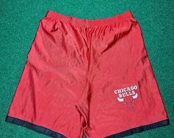 Vintage 90s Chicago Bulls Mesh Basketball Shorts, Logo 7 NBA Jordan (Large)