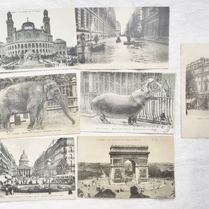 7 antieke Parijse ansichtkaarten, souvenir Parijs. Elephant Hippopotamus Paris, Jardins Trocadero, Overstromingen van Parijs 1910, Theater Vaudeville Parijs.