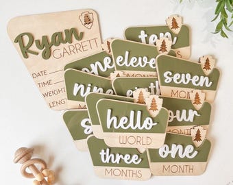 National Park Monthly Milestone Discs For Baby Photos + Matching Birth Stat Sign | Monthly Milestone Marker | Rustic Monthly Milestones