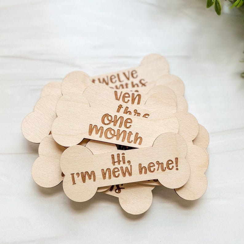Monthly Milestone Marker For Dogs | Laser Engraved | New Puppy | Monthly Milestone For Puppy | New Dog Owner | New Dog Gift image 2