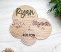 Baby Announcement Sign With Birth Stats | Wood Sign for Name Reveal | Baby Name Reveal | Personalized Baby Name Sign | Sign For Hospital