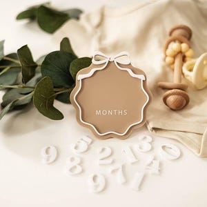 Interchangeable Acrylic Bow Monthly Milestone Markers | Matching Birth Announcement Sign | 1 Month-1 Year Milestone Markers |Baby Photo Prop