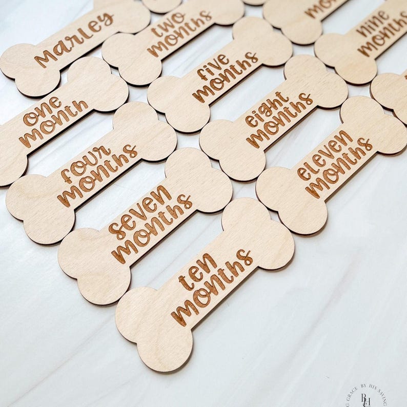Monthly Milestone Marker For Dogs | Laser Engraved | New Puppy | Monthly Milestone For Puppy | New Dog Owner | New Dog Gift image 4