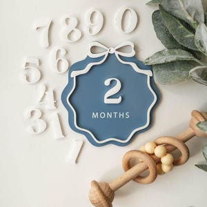 Interchangeable Acrylic Bow Monthly Milestone Markers | Matching Birth Announcement Sign | 1 Month-1 Year Milestone Markers |Baby Photo Prop