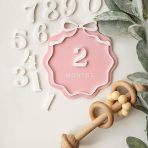 Interchangeable Acrylic Bow Monthly Milestone Markers | Matching Birth Announcement Sign | 1 Month-1 Year Milestone Markers |Baby Photo Prop