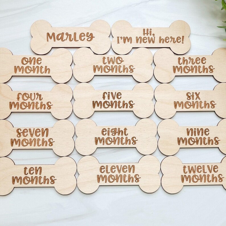 May include: A collection of wooden dog bone-shaped milestone markers. Each marker is engraved with text, including "Marley," "Hi, I'm new here!," and months one through twelve. The markers are made of light-colored wood.