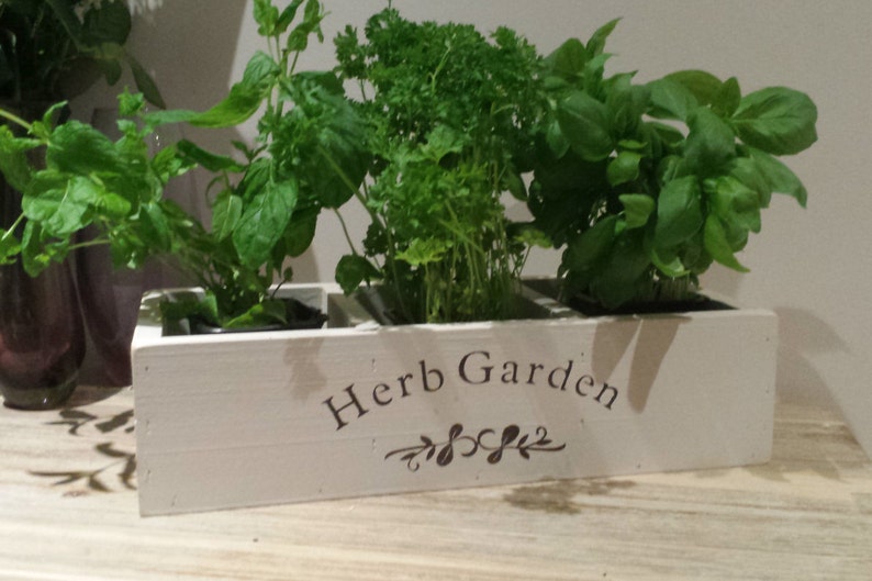 Herb Planter Kitchen Herb Planter Window Box Planter Indoor Etsy