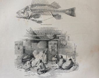 1856 Large Original Antique Fish Engraving - Skeleton of Perch, Lepidosiren, Natives of Nootka Sound - Marine Wall Decor - Fishing
