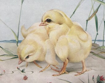 1938 Chicks Original Vintage Print - E.J. Detmold - Chicken - Domestic Animals - Nursery Decor - Mounted and matted - Available Framed