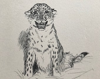 1932 Leopard - Zoo Expressions Original Vintage Print - Cecil Aldin Illustration - Animal Art - Available Framed