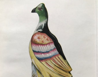1953 Game Bird Original Vintage Print - Staffordshire Pottery - Ceramics - Mounted and Matted - Available Framed