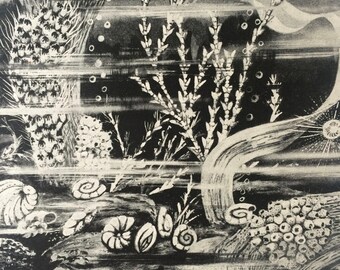 1940s Ocean Marvels seen through the microscope Original Vintage Print - Mounted and Matted - Ocean Wildlife - Available Framed