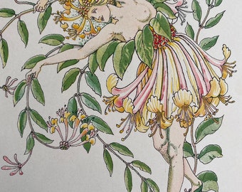 1906 Woodbine - Flowers from Shakespeare's Garden Original Antique Print - Botanical Art - Available