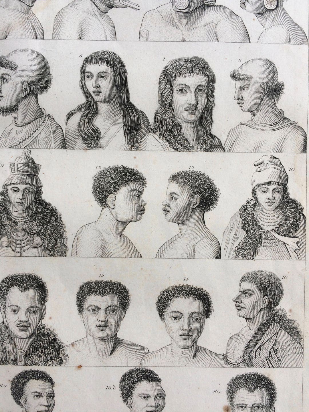 1852 Original Antique Human Races Engraving - Anthropology - Mankind ...