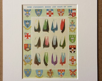 1940s University Hoods and Coats of Arms Original Vintage Print - Mounted and Matted - Student Gift - Education - Wall Decor