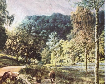 1940s Trossachs - Wooded Glen Original Vintage Print - Perthshire - Scotland - Mounted and Matted - Available Framed