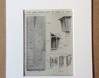 1940s Bird Boxes - Instruction Diagram Original Vintage Print - Mounted and Matted - Bird - Ornithology -  Bird Watcher - Available Framed