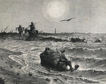 1883 Scene on the Shore at Damietta Original Antique Print - Cholera in Egypt - Mounted and Matted - Available Framed