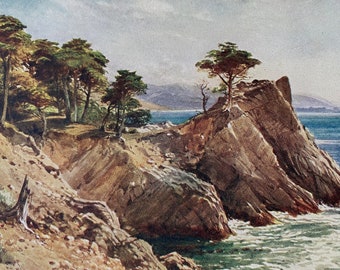 1914 Cypress Point, near Carmel Original Antique Print - California - Mounted and Matted - Available Framed