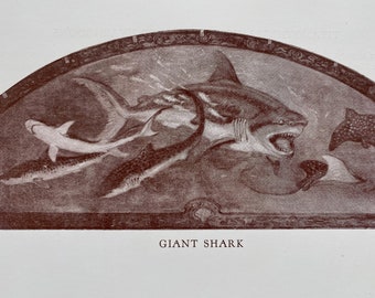 1935 Giant Shark Original Antique Print - Prehistoric Illustration - Mounted and Matted - Available Framed