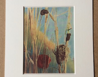 1940s Harvest Mice Original Vintage Print - Mounted and Matted - Vintage Bird Art - Mouse - Wildlife - Available Framed