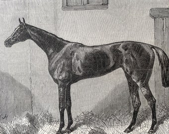 1864 Fille de L'air, The Winner of the Oaks 1864 Original Antique Engraving - Horse Racing - Racehorse - Available Framed