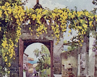 1909 Madeira - A Chapel Doorway Original Antique Print - Botanical Art - Flower - Garden - Mounted and Matted - Available Framed