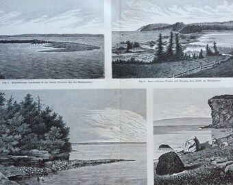 1897 Coastal Formations Original Antique Botanical Print - Available Framed - Geology - Vintage Decor