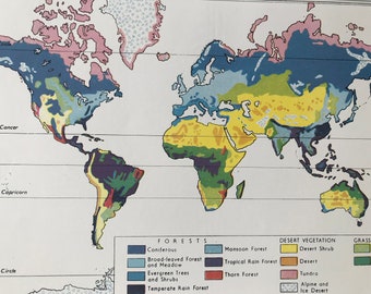 1940s Distribution of the World's Forested Regions Original Vintage Map - Mounted and Matted - World Map - Available Framed