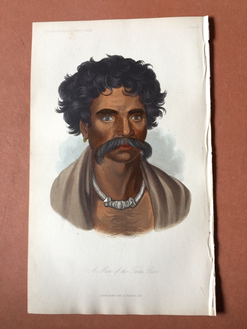 Ethnography Human Races 1855 A Man of the Tuda Race Original Antique Hand Coloured Engraving Anthropology