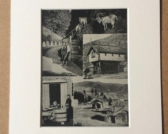 1940s Norwegian Farms Original Vintage Print - Mounted and Matted - Norway - Scandinavia - Farmer - Available Framed