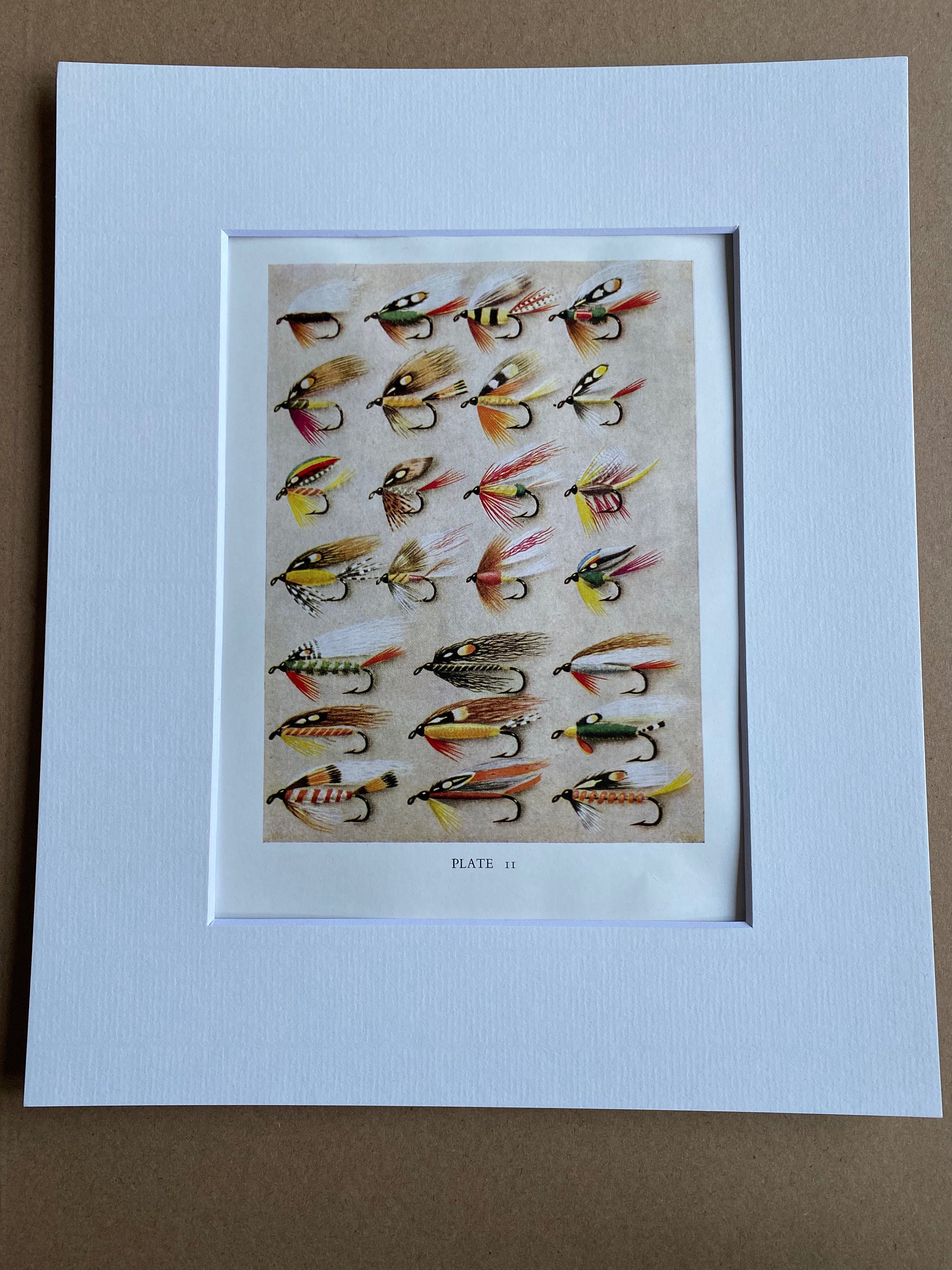 1950 Trout Fishing Flies Original Vintage Print Mounted and Matted