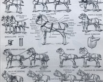 1897 Types of Harness Original Antique Print - Horse - Equestrian - Horse and Cart - Mounted and Matted - Available Framed