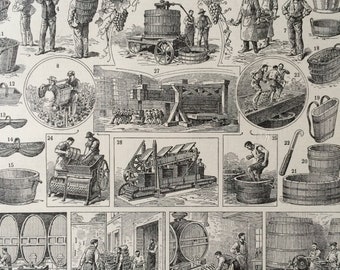 1923 Wine Original Antique Print - Mounted and Matted - Decorative Art - Wall Decor - Vine - Vineyard - Harvest - Alcohol - Bar Decor