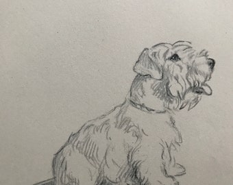 1946 Original Vintage Dog Print - Lucy Dawson - Animal Art - Dog Drawing - Decorative Wall Art - Framed Art - Gift Idea