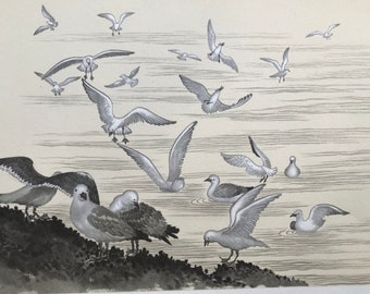 Illustration vintage originale de mouettes de 1939 par Chiang Yee - oeuvre d'art d'oiseaux - ornithologie - nature - faune - disponible emmêlé et encadré