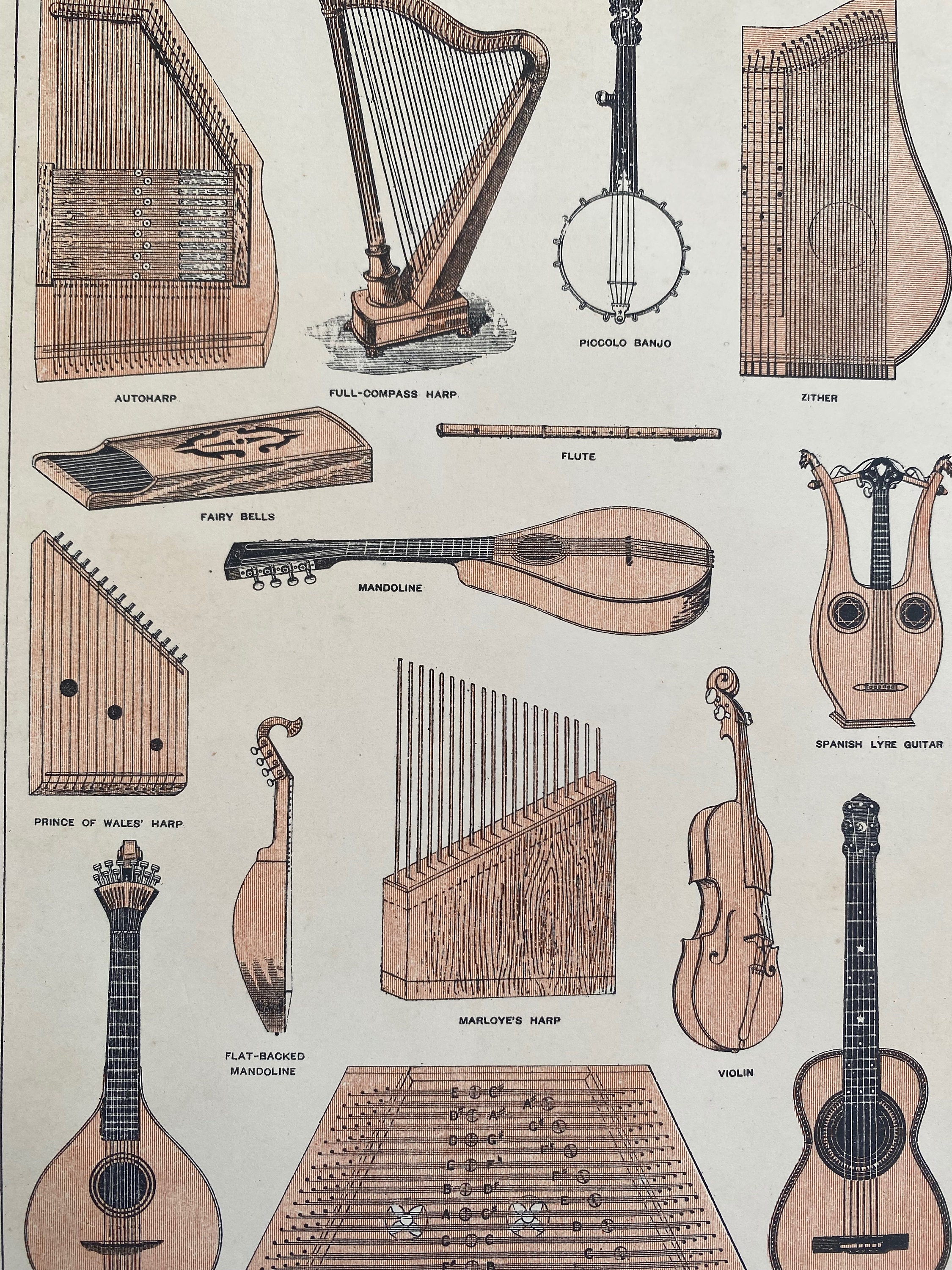 1890 Instruments de musique Original Antique Print Banjo, Harpe, Autoharpe,  Violon, Guitare, Mandoline Monté et Emmêlé Disponible Encadré -  France