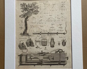 1806 Fluxions, Fixed Air, Festularia, Formica Leo Original Antique Engraving - Encyclopaedia - Mounted and Matted - Available Framed