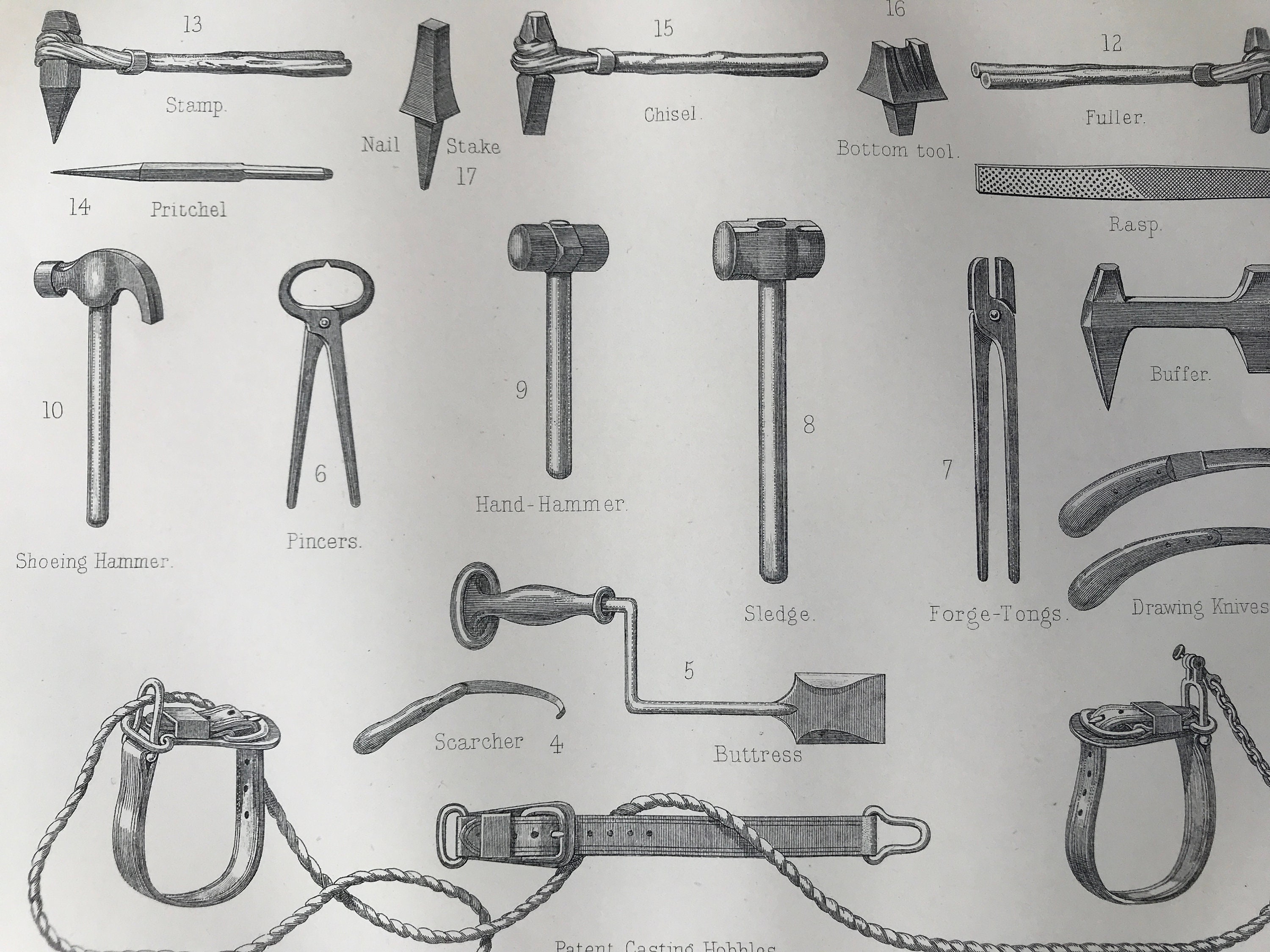 Farrier supplies cheap