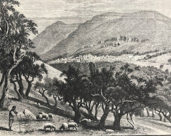 1880 Nablus and Gerizim from the Slopes of Ebal Original Antique Engraving - Mounted and Matted - Available Framed - Palestine