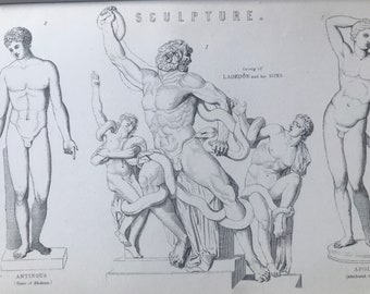 1891 Sculpture Original Antique Print - Antinous - Laocoon - Apollino - Agesandros, Poludoros - Available Mounted, Matted and Framed