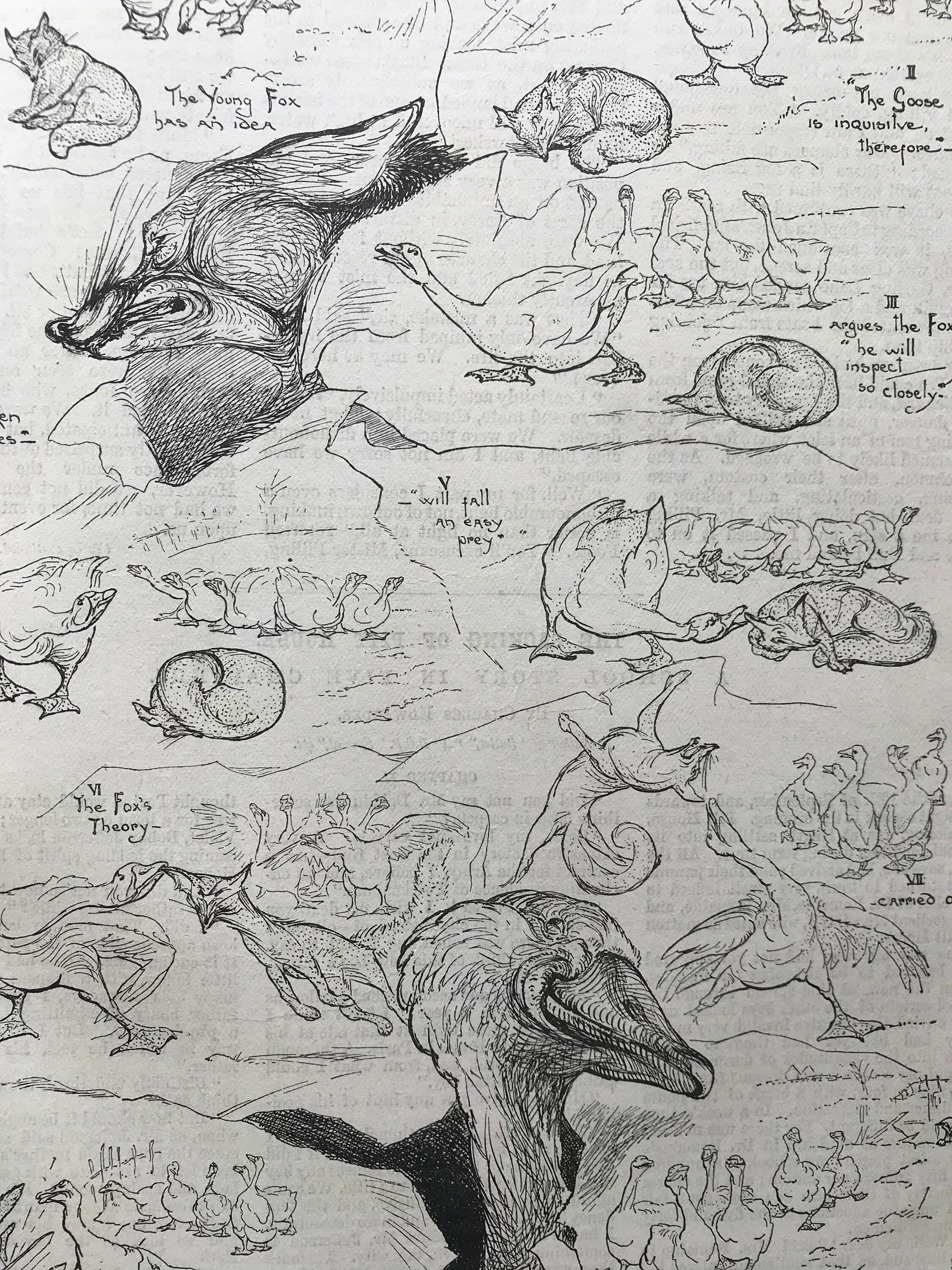 1892 'too Clever by Half' by J.A. Shepherd Original Etsy